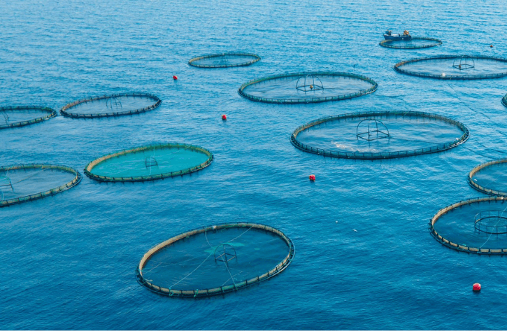 Smart Monitoring for Aquaculture Farms
